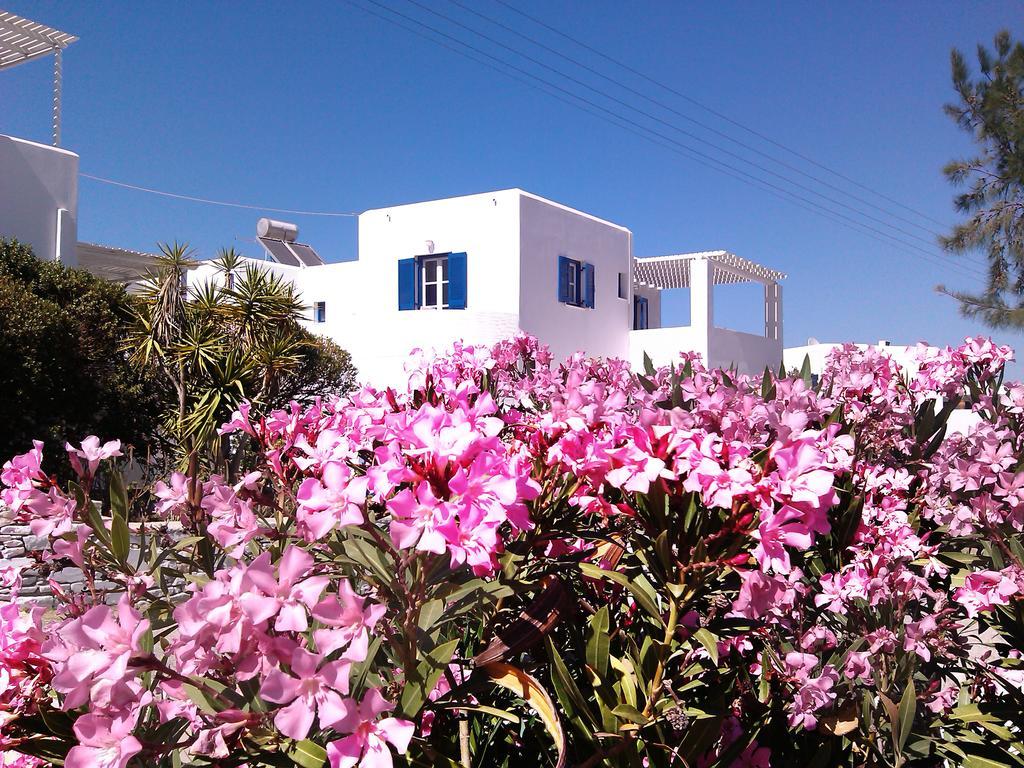 לוגאראס Nicos Studios & Apartments מראה חיצוני תמונה