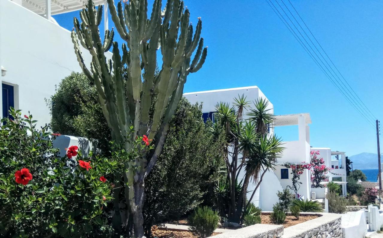 לוגאראס Nicos Studios & Apartments מראה חיצוני תמונה