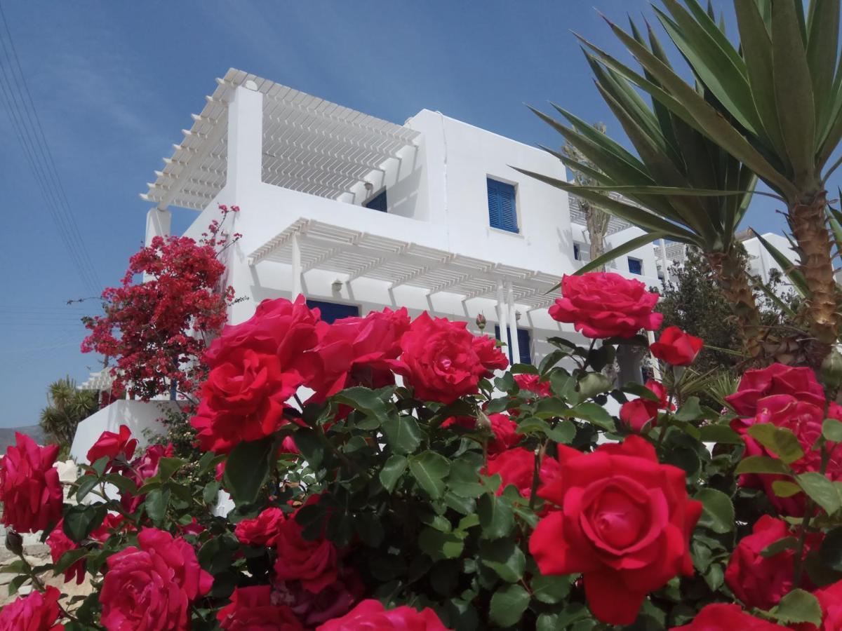 לוגאראס Nicos Studios & Apartments מראה חיצוני תמונה